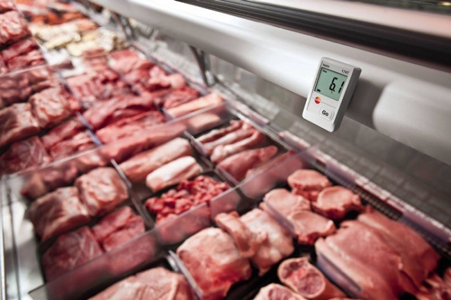 Логгер Testo 174T